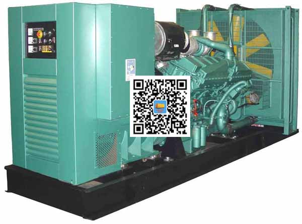 大足笼型异步发电机的电力电子控制技术